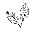 3_bb52f4a2-0da9-4989-a499-a9d4cfe40581.png