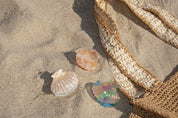 Hair Clip Shell Aqua