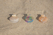 Haarklammer Muschelform Citrus