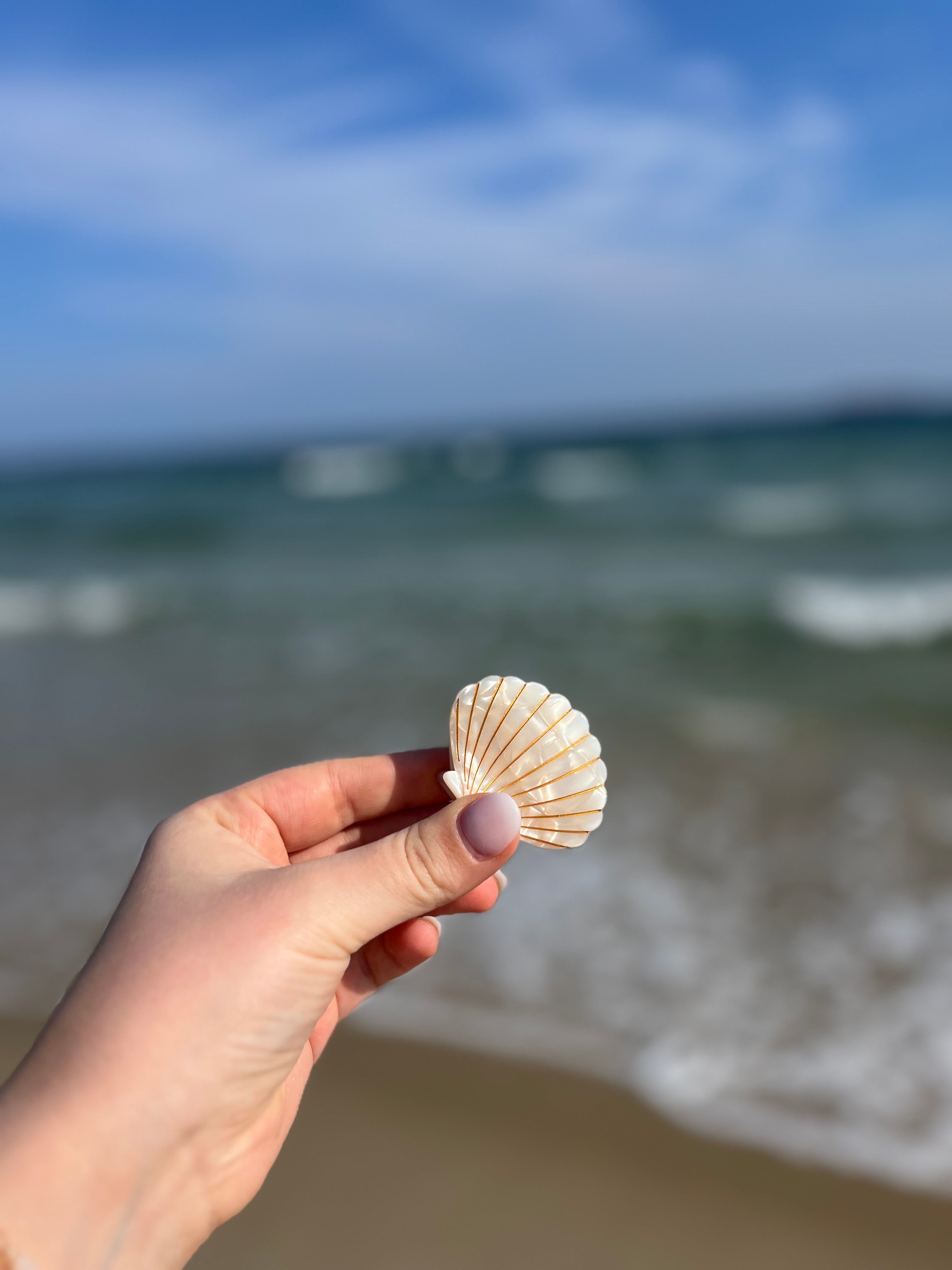 Hair Clip Shell Pearl