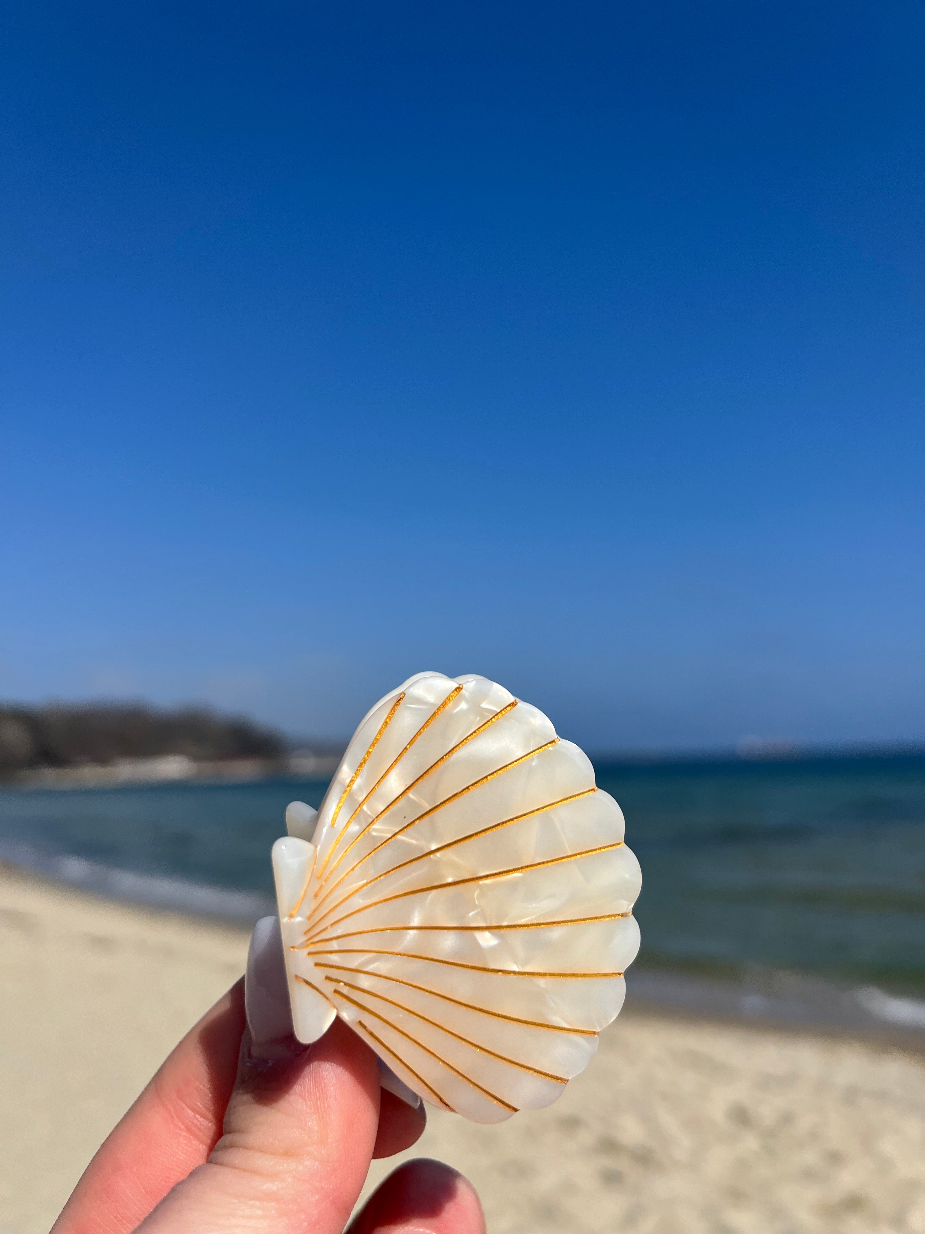 Hair Clip Shell Pearl