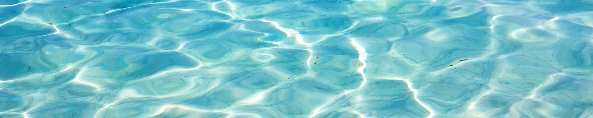 FISCHE
