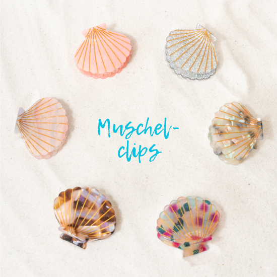 4_Beach_Vibes_Square_Muschel_HK_Mitte_Juli_550x550px.png