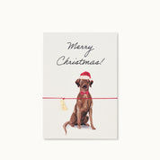 Armband-Karte: Merry Chiristmas Brauner Labrador