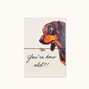 Armband-Karte: You´re how old? Dackel