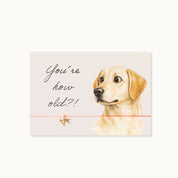 Armband-Karte: You´re how old? Labrador