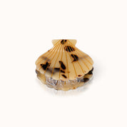 Hair Clip Shell Amber