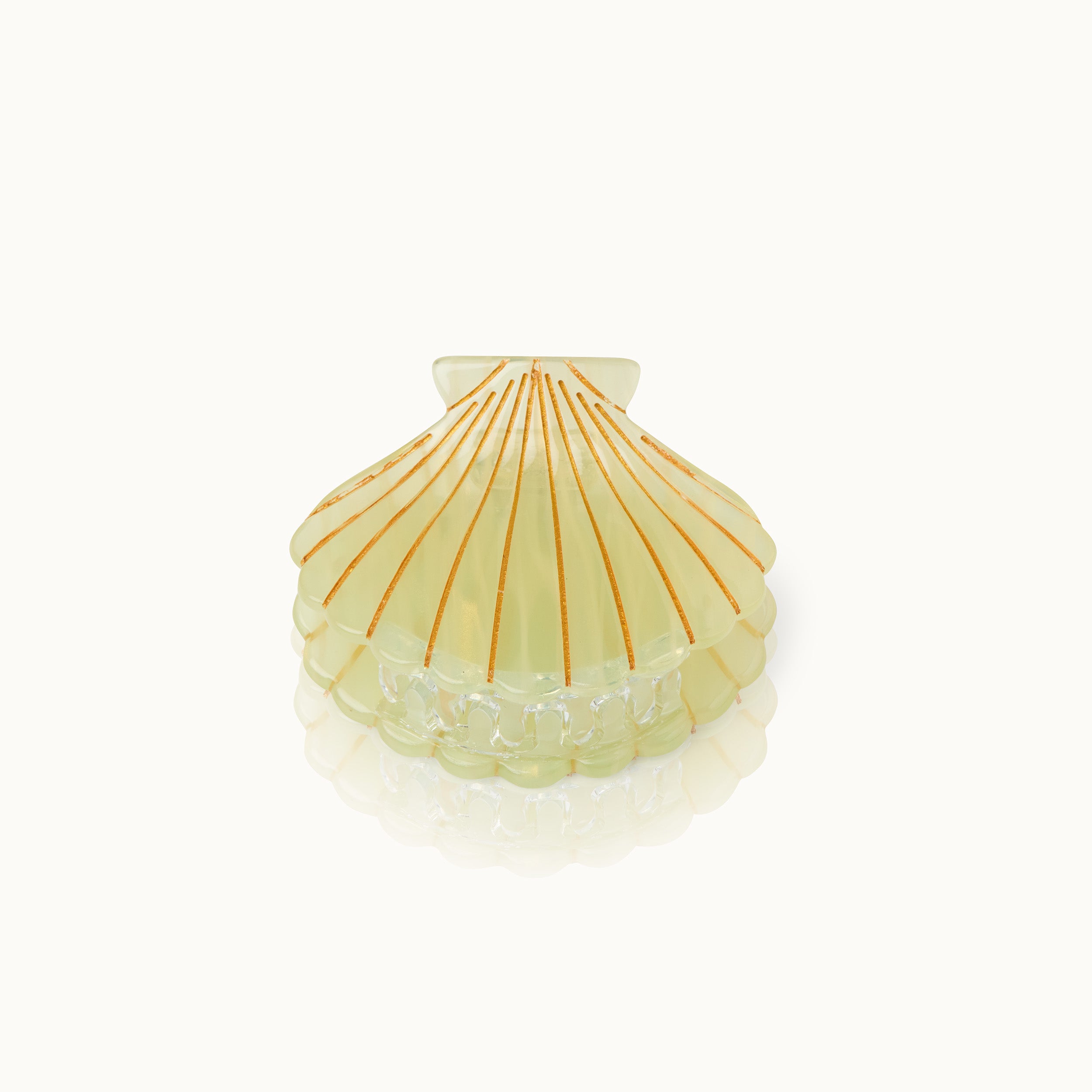 Haarklammer Muschelform Citrus