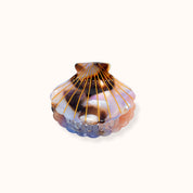Haarklammer Muschelform Art