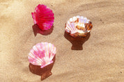 Haarklammer Muschelform Girly Girl