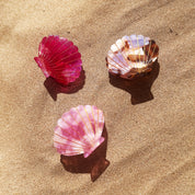 Haarklammer Muschelform Girly Girl