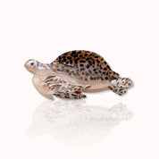 Haarklammer Schildkröte groß