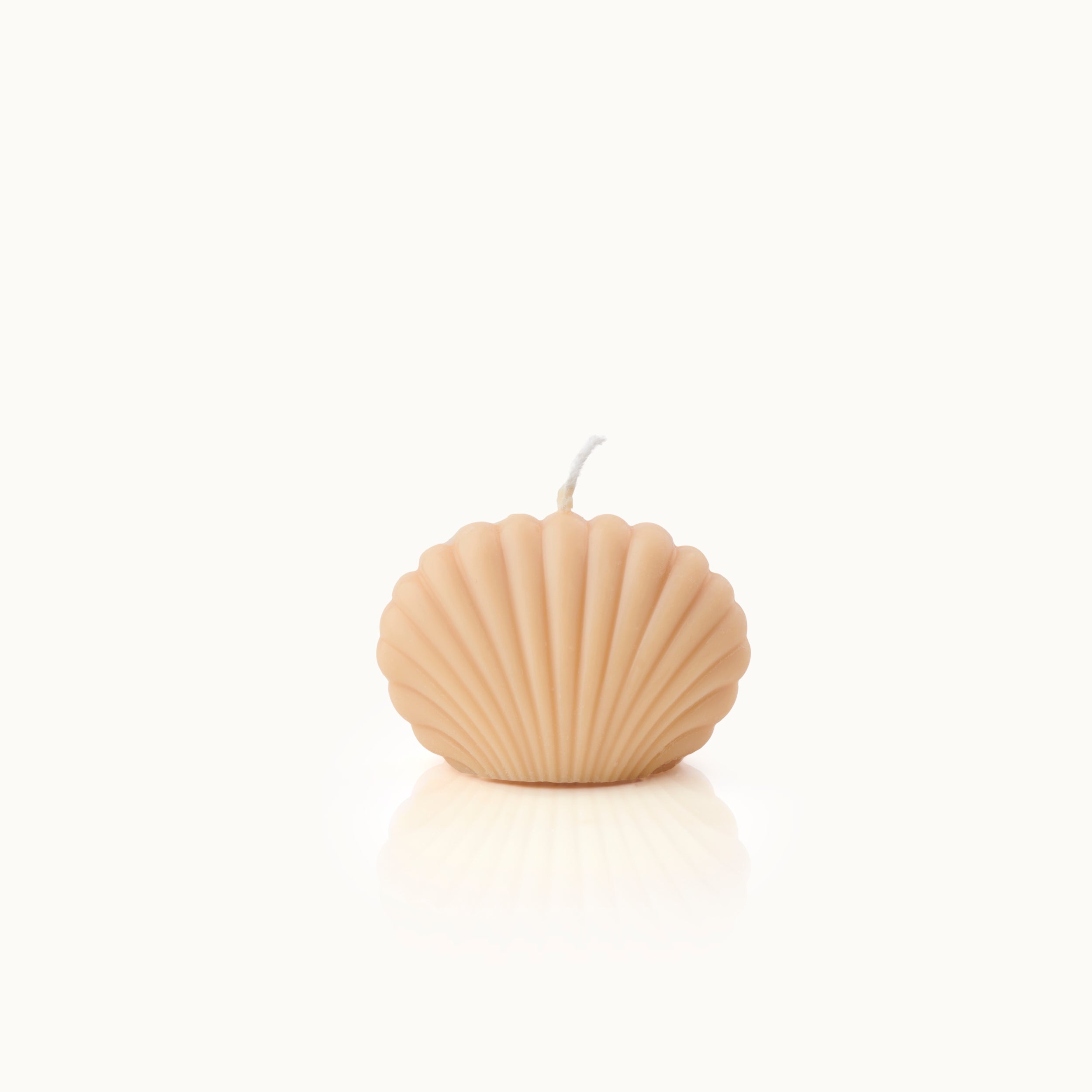 Kerze in Muschelform Klein Mocca